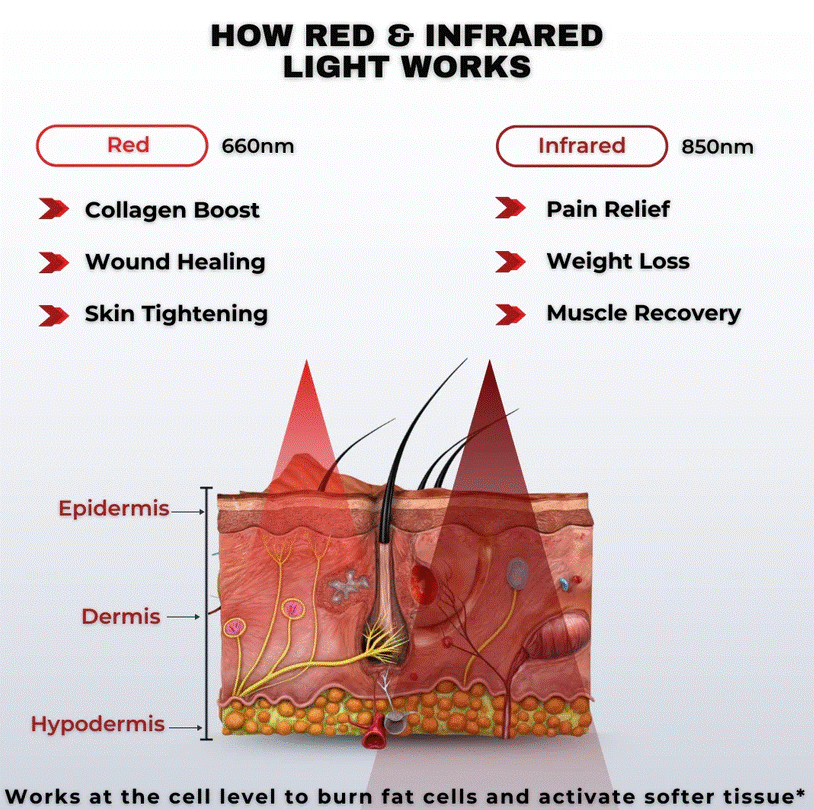 RED & Infrared Light Therapy Belt